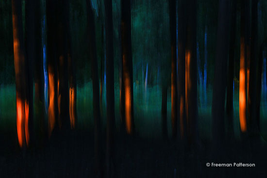 One-Day Workshops with Freeman Patterson