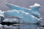 The Great Ice Bird