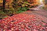 Ketchum Road Autumn