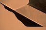 Graphis in Brown